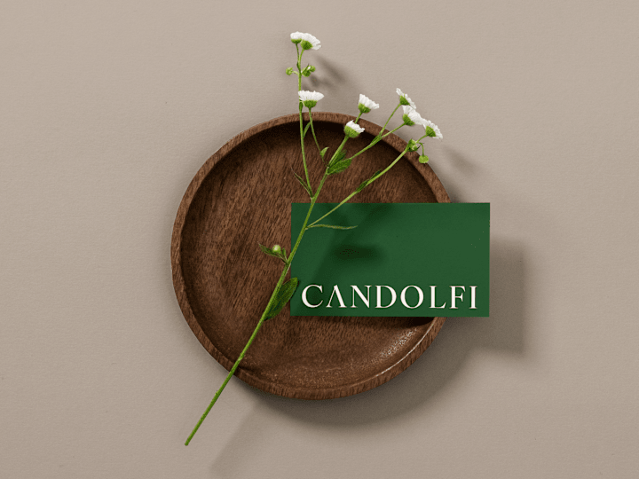 Cover image for Candolfi Hotel