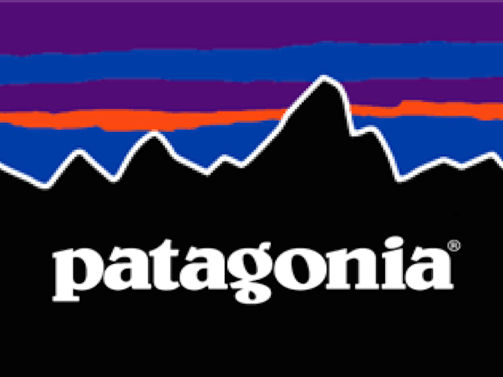 Cover image for Patagonia Store Shopify Development