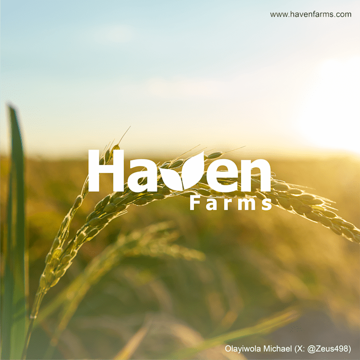 Cover image for Haven Farms :: Behance