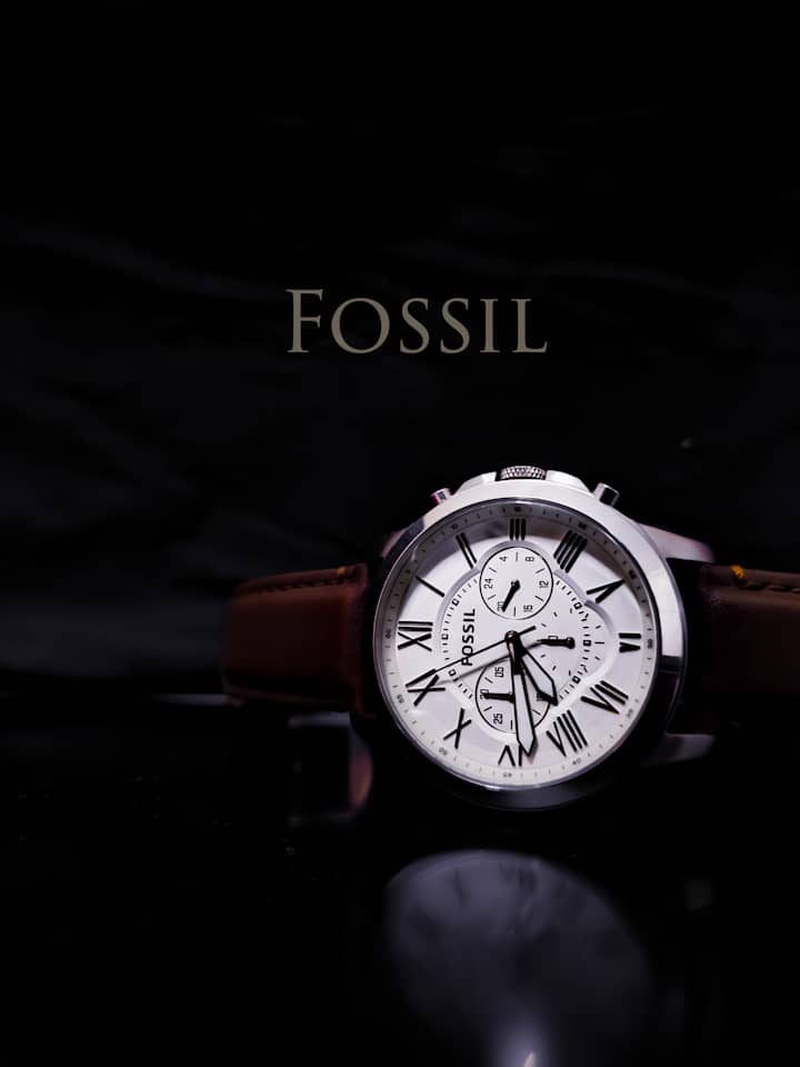 Cover image for Fossil 
