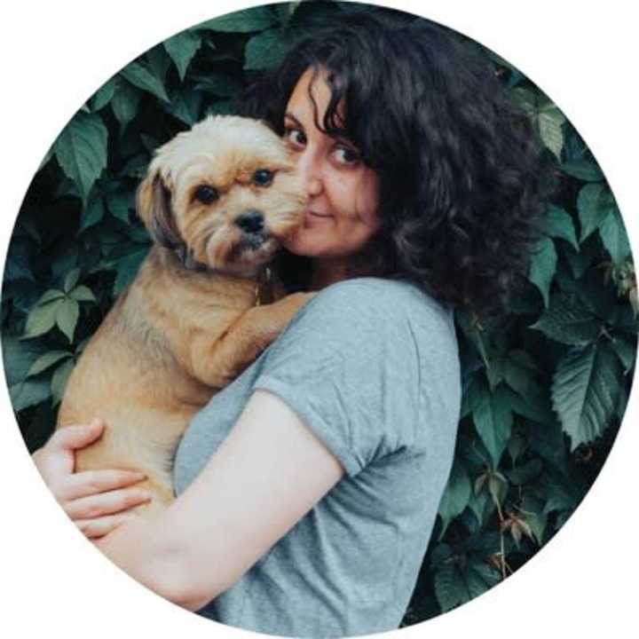 Cover image for How Emotional Support Therapist Can Help with Anxiety and Depres