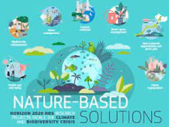 Cover image for Article: Trend of Nature-Based Solutions (NBS)