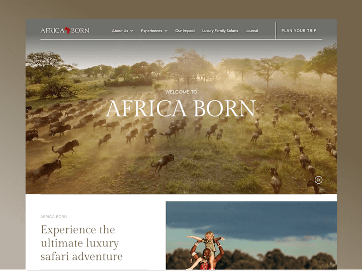 Cover image for Luxury safari with an experience-first website