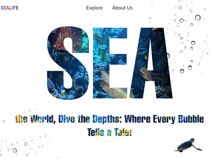 Cover image for Sealife