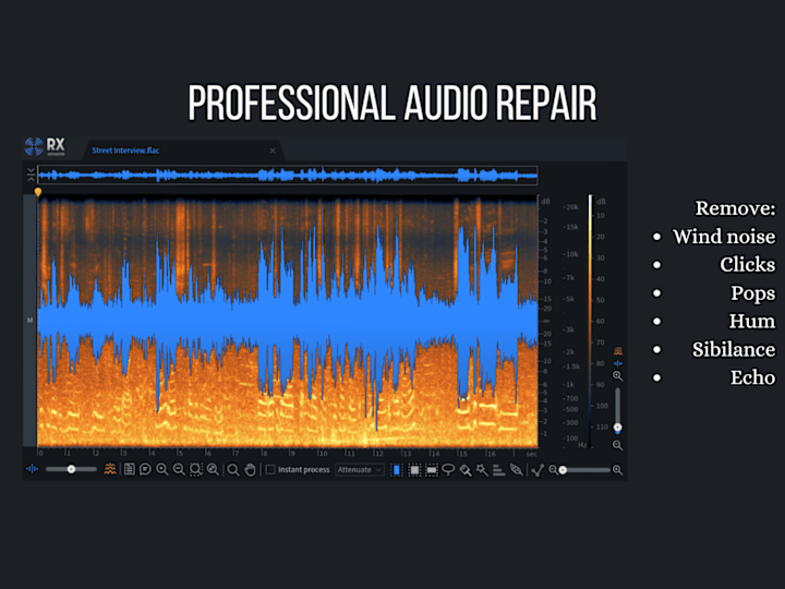 Cover image for Audio Editing, Repair, and Cleanup