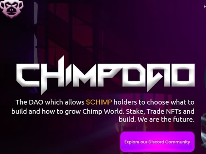 Cover image for ChimpDAO