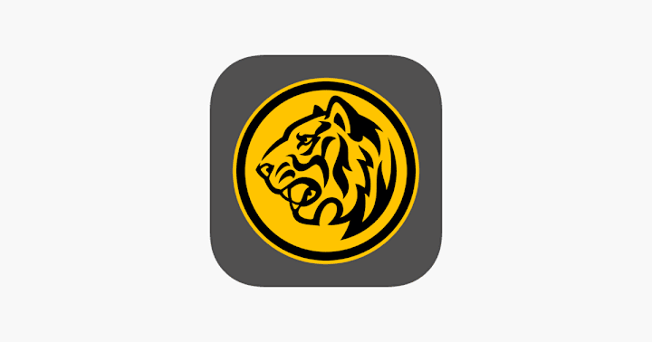 Cover image for Maybank2u Biz 4+