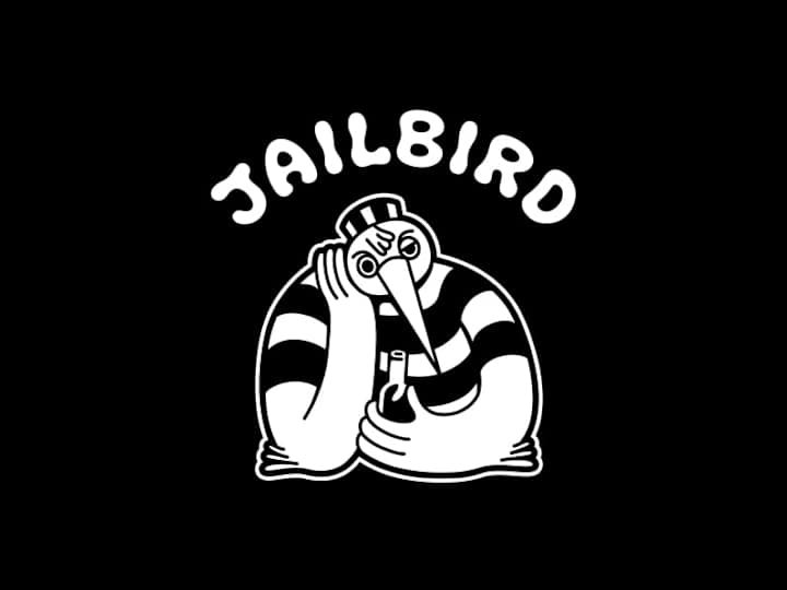 Cover image for Jailbird