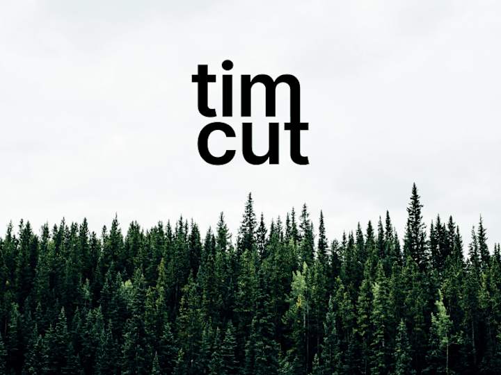 Cover image for Timcut 