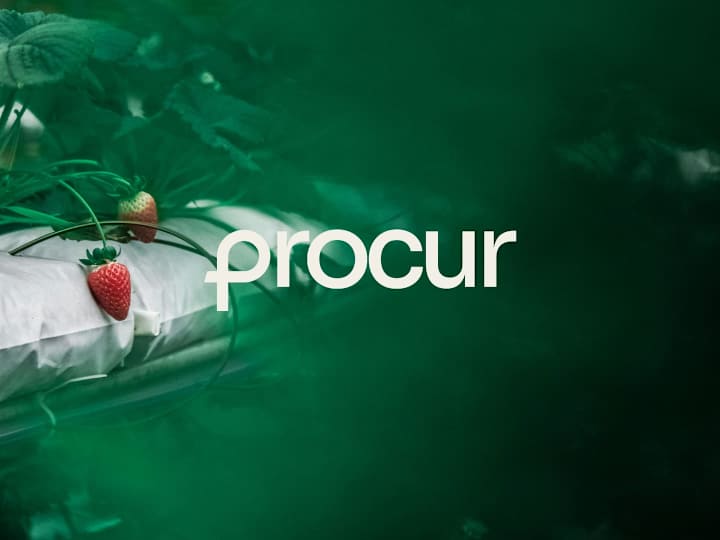 Cover image for Procur Brand Design