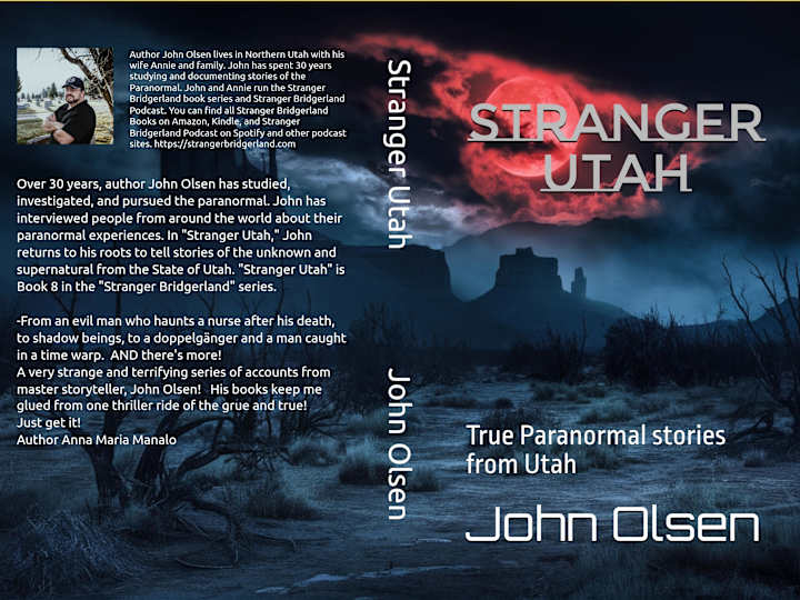 Cover image for Author of Stranger Bridgerland Book Series