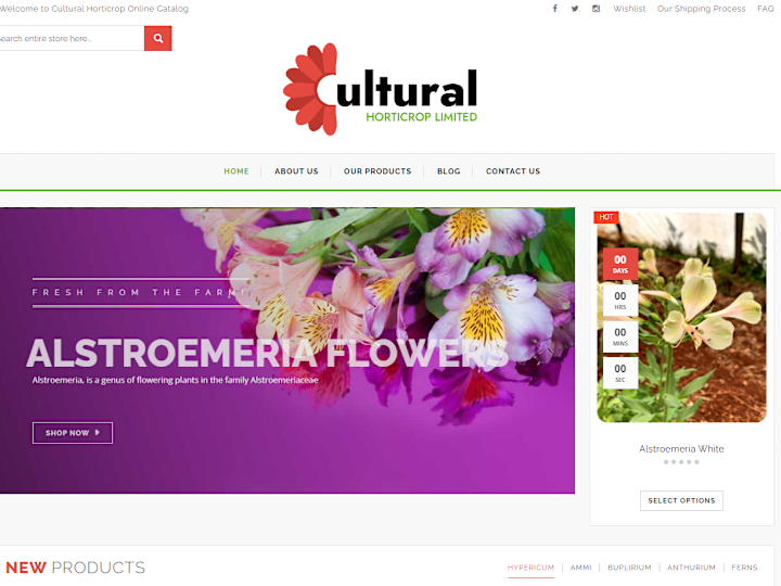 Cover image for E-commerce Website Development with Custom Features