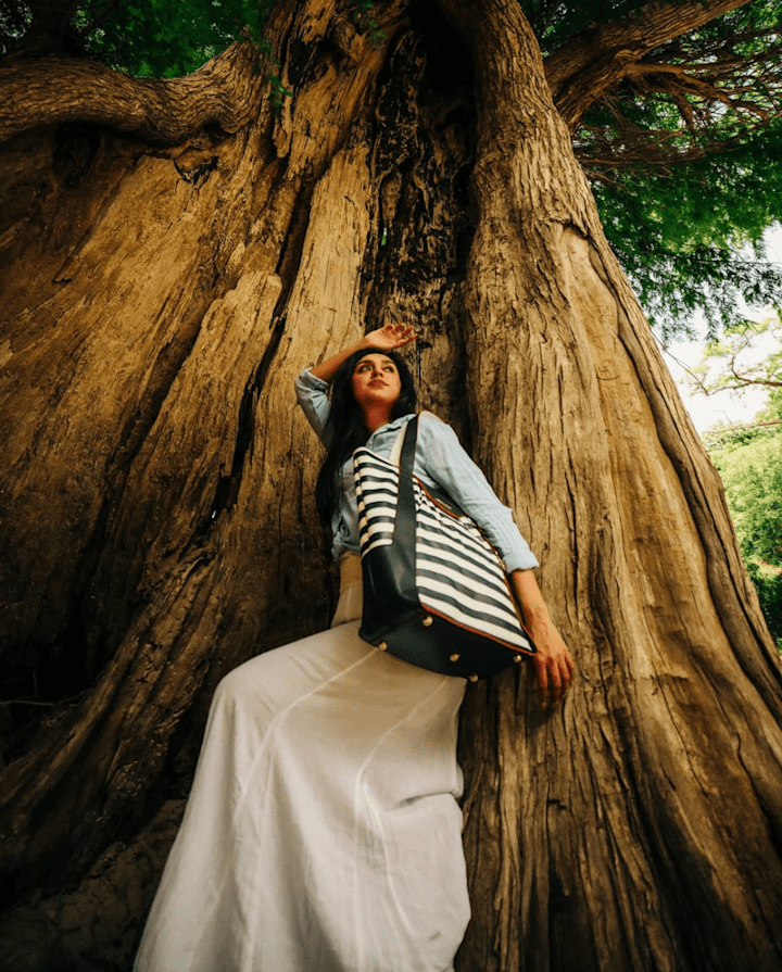 Cover image for LUXURY HANDBAG LIFESTYLE PHOTOGRAPHY