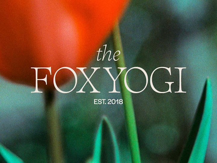 Cover image for The Foxyogi