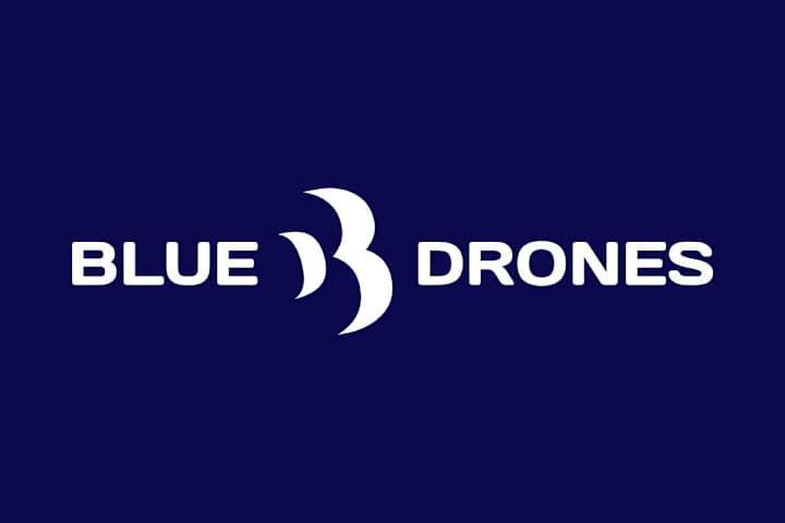 Cover image for Logo & Website | Blue Drones