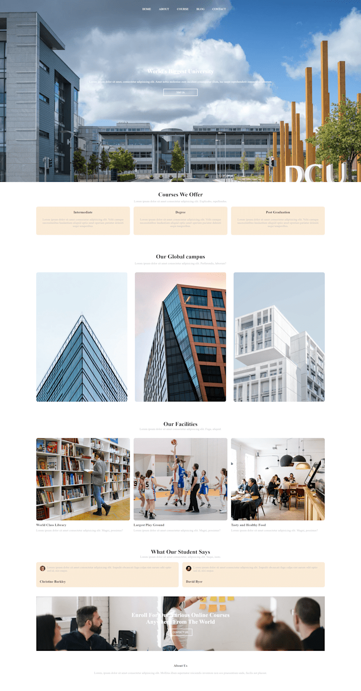 Cover image for Web Development Projects