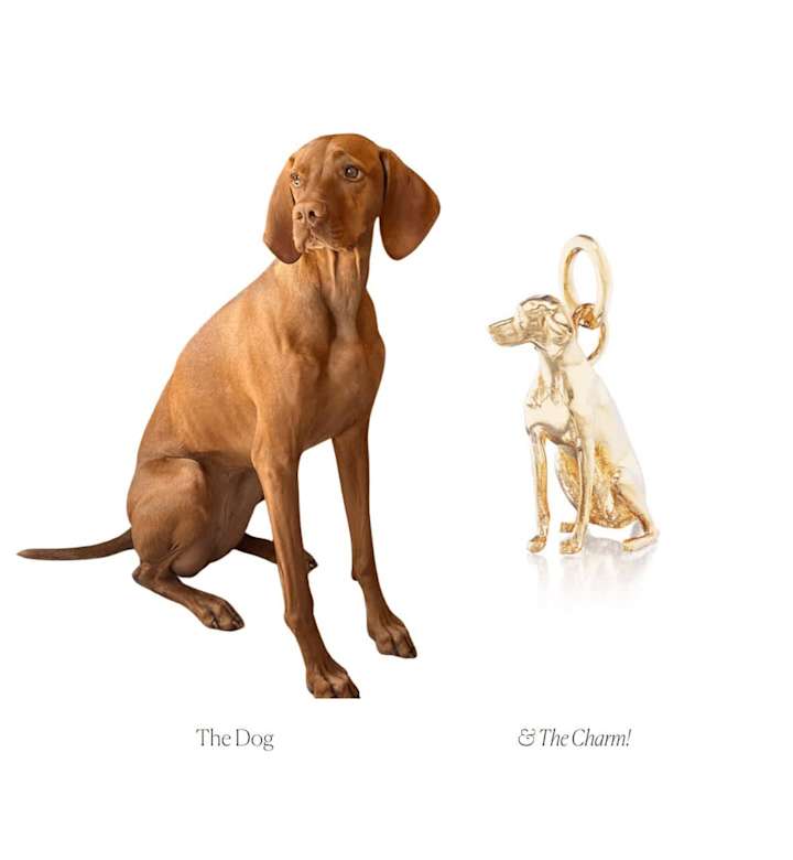 Cover image for Dog Charms