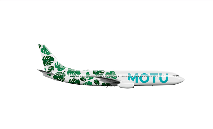 Cover image for MOTU Airlines