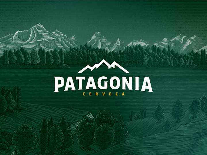 Cover image for Patagonia: Concept Web Design