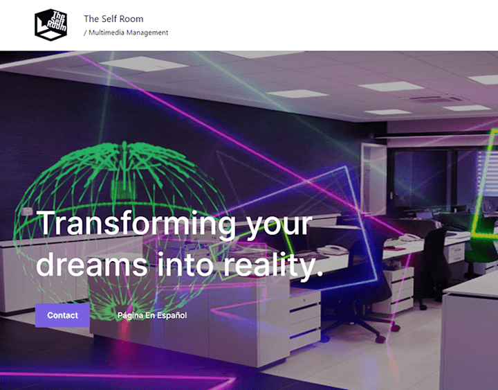 Cover image for The Self Room (website) on Behance