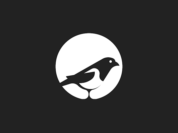 Cover image for Magpie - Illustration