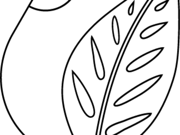 Cover image for Capability Psychology