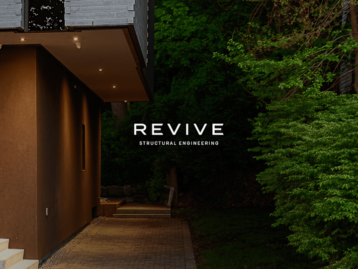 Cover image for Revive Engineering