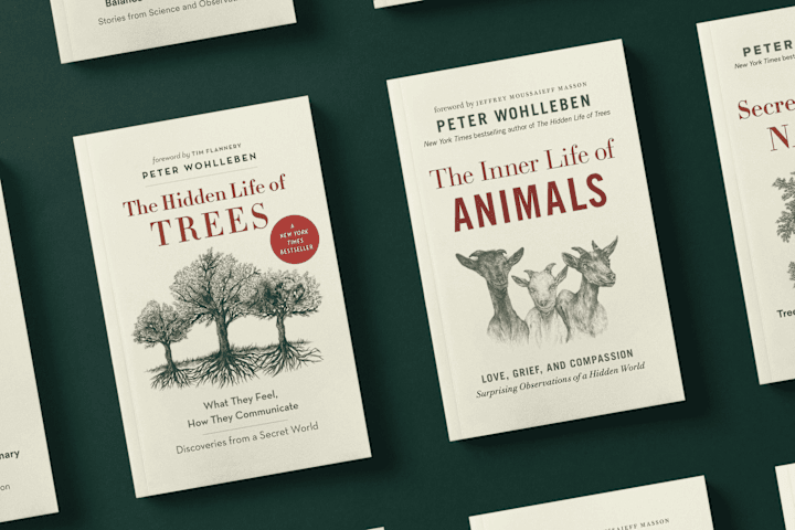 Cover image for Illustrations + Cover Art for a NYT's Bestselling Trilogy