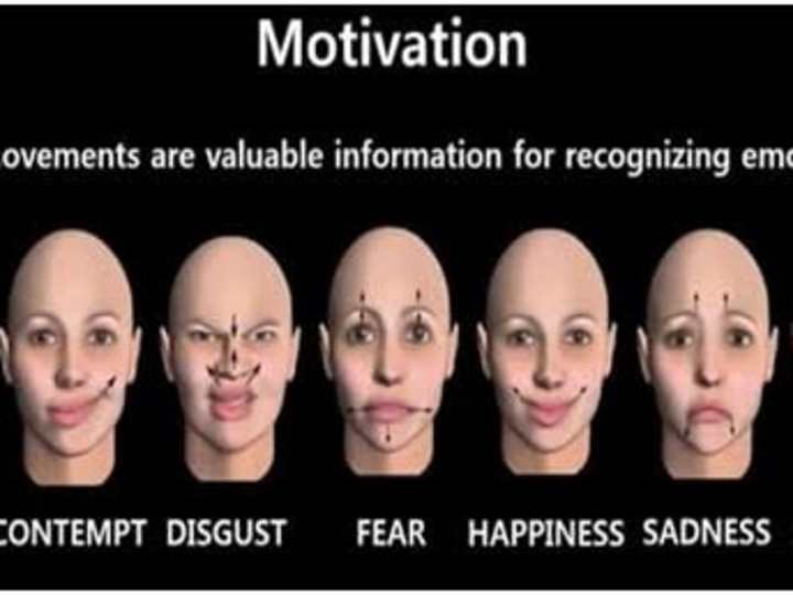 Cover image for Face detection and emotion recognition using camera 