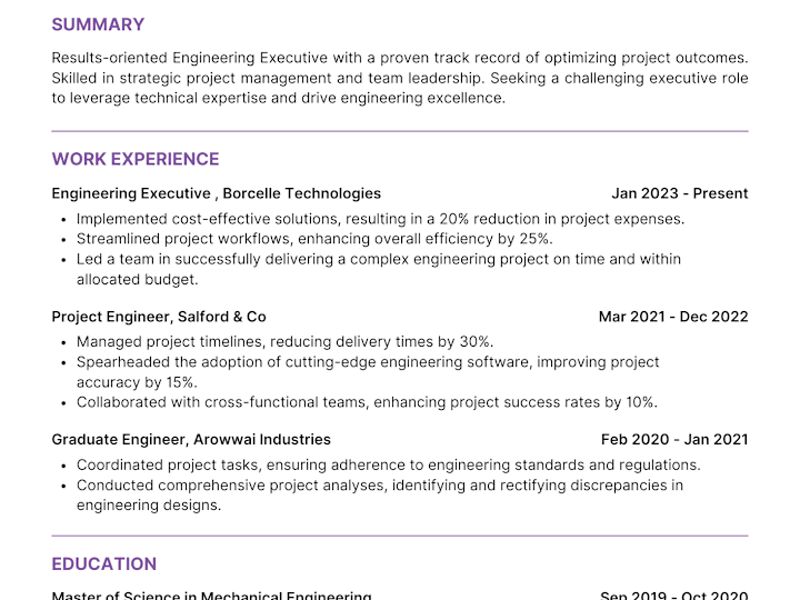 Cover image for Executive Resume and Cover Letter for Chief Financial Officer (C