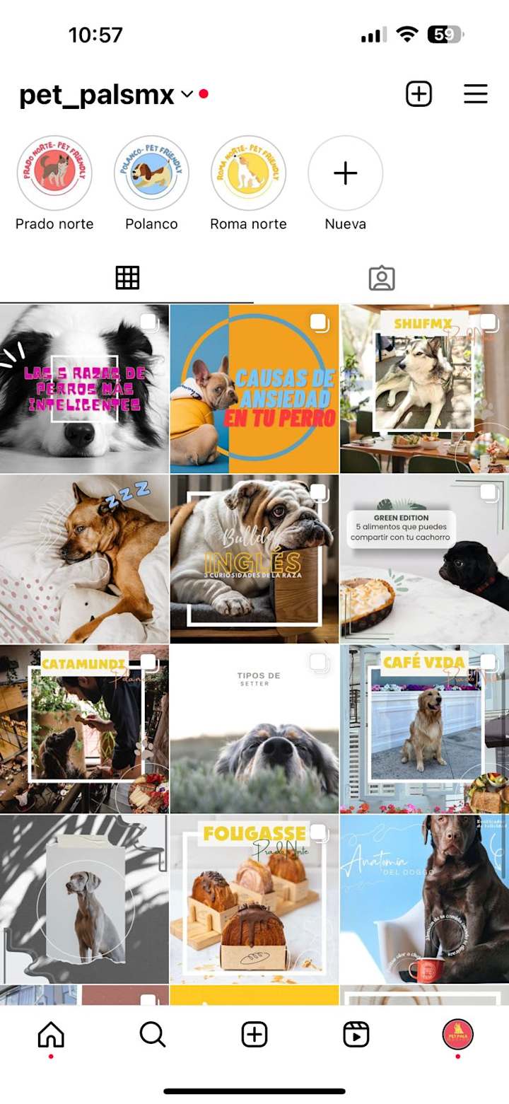 Cover image for Instagram content for our pet friendly community 