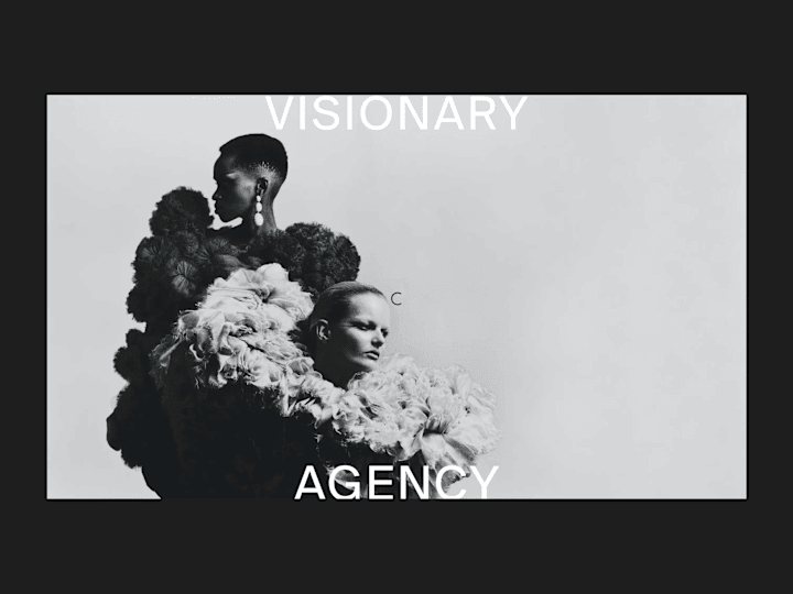 Cover image for Visionary Agency