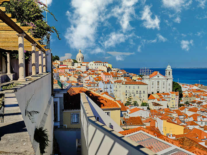 Cover image for Online Airbnb Experience