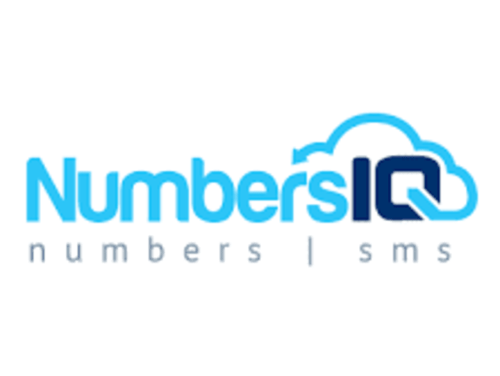 Cover image for 
Numbers IQ