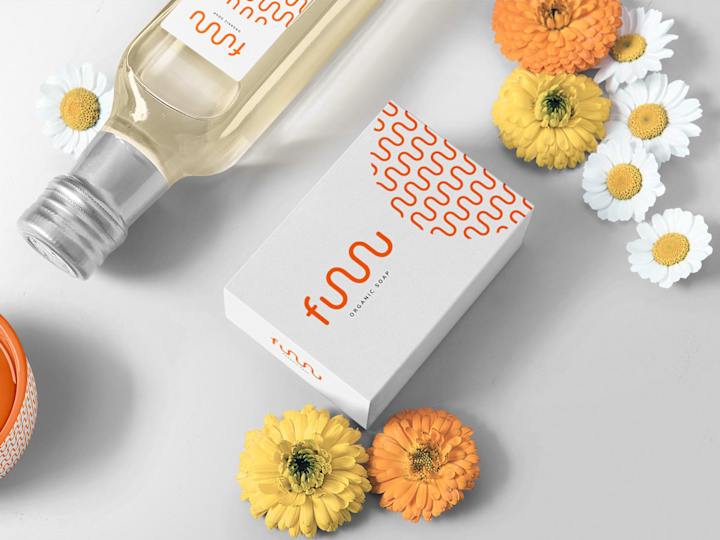 Cover image for Funn Organic Soap