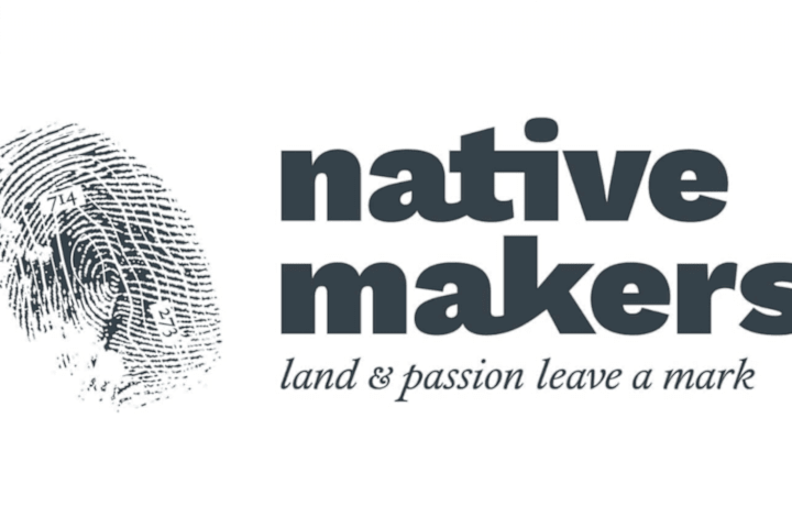 Cover image for Native Makers