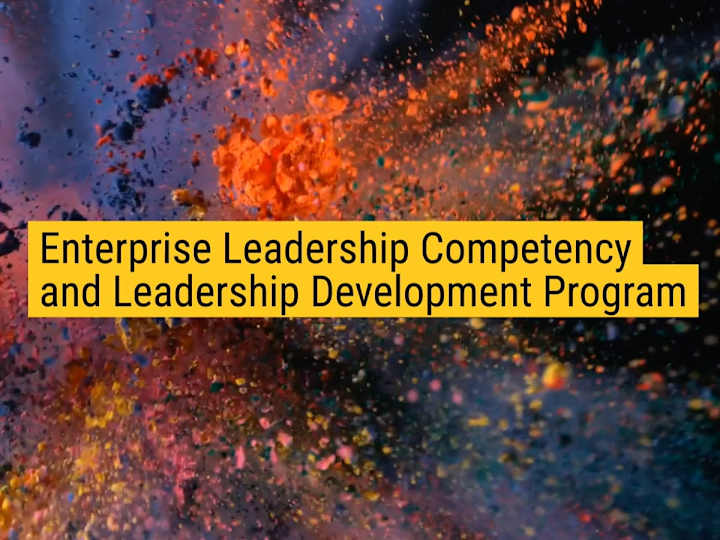 Cover image for Leadership Development Program for Enterprise Growth