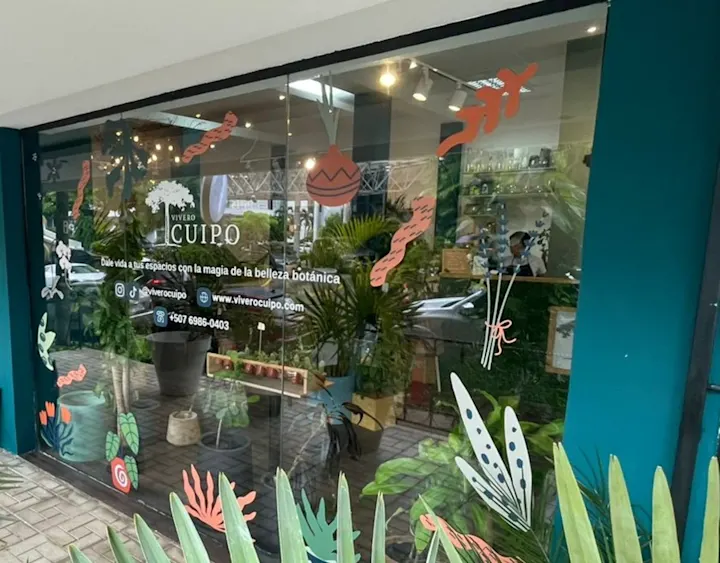 Cover image for Window Display Design and Direction for Flower and Plant Store