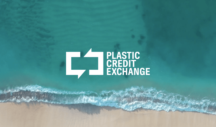 Cover image for Plastic Credit Exchange: Brand Identity