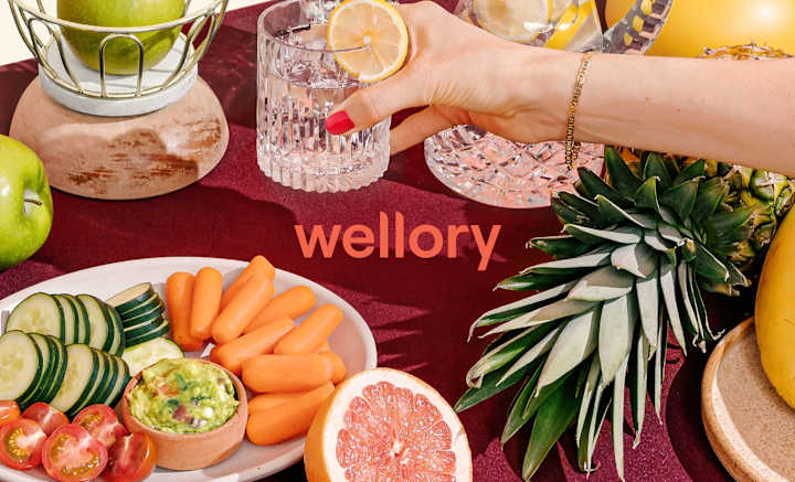 Cover image for Wellory