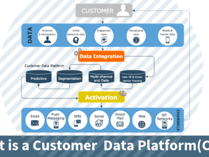 Cover image for Customer Data Platform