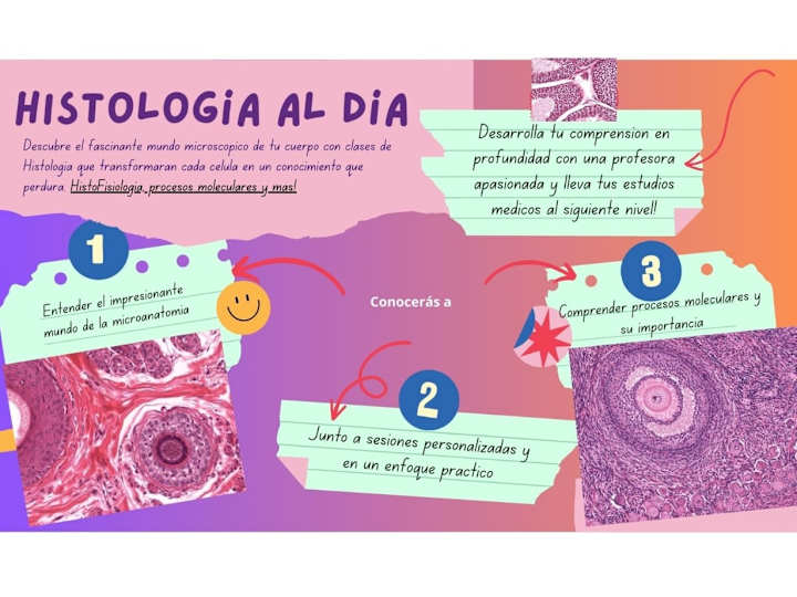 Cover image for Tutoría en Histología y Correlación Fisiológica Aplicada