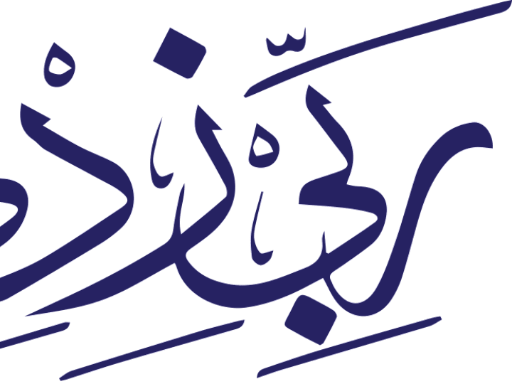 Cover image for Rabbizidniilma