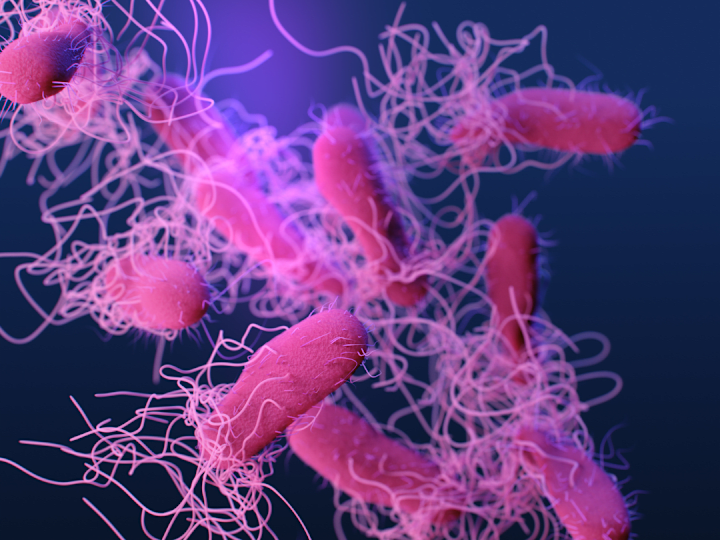 Cover image for Branding Examples - Giddel & uvFreshr for Hygiene and Health 