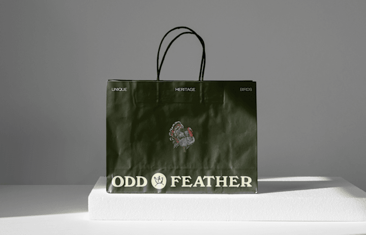 Cover image for Odd Feather