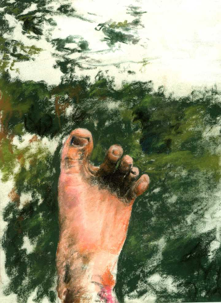 Cover image for Untitled
