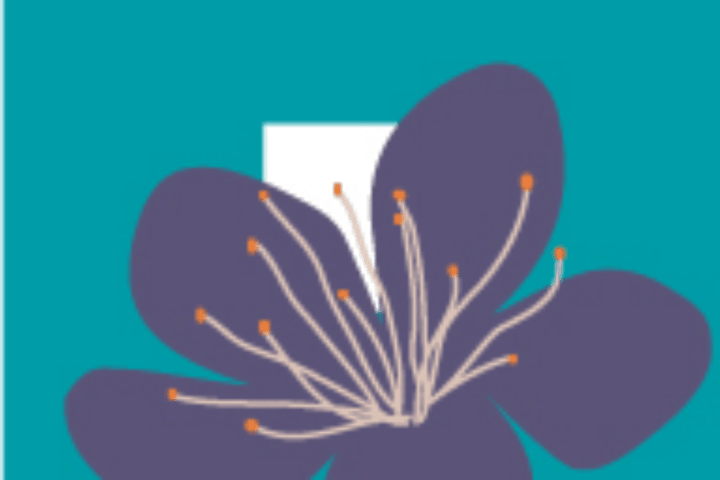 Cover image for Amura Naturals Logo