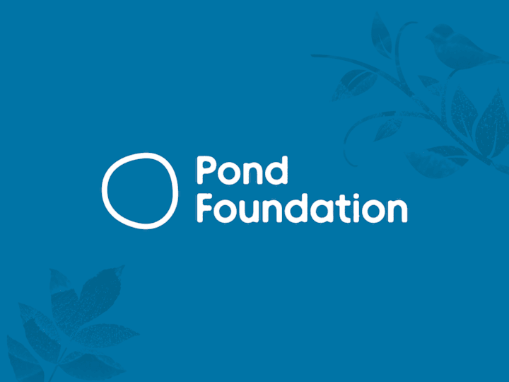 Cover image for Pond Foundation