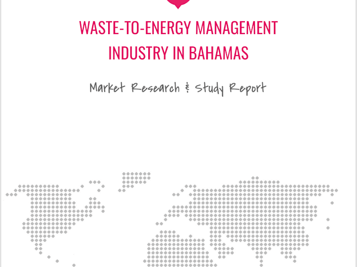 Cover image for Waste-to-Energy Market Study