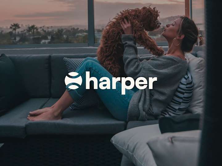 Cover image for Harper — Creating a pet brand that isn't lame